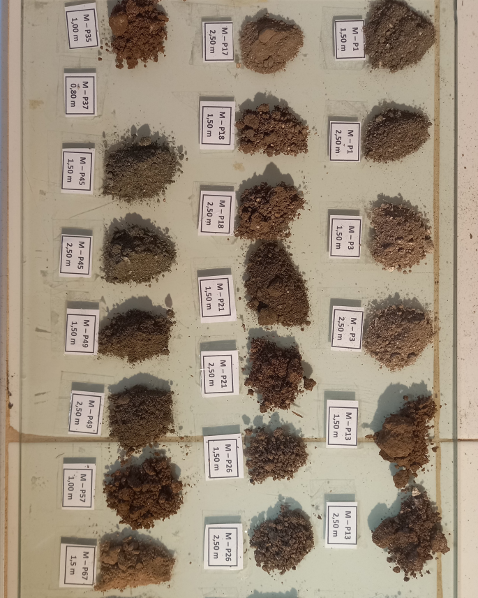 Muestras de suelo identificadas y ordenadas para su análisis