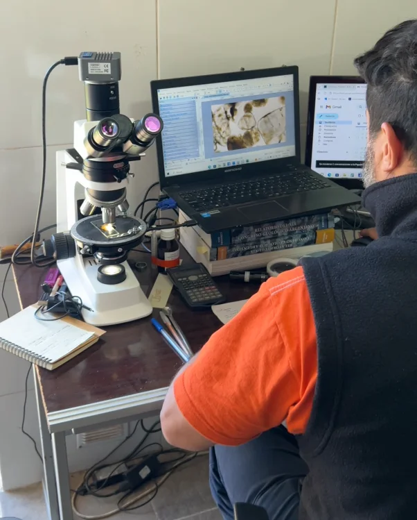 Profesional de GEOGON analizando una muestra con microscopio